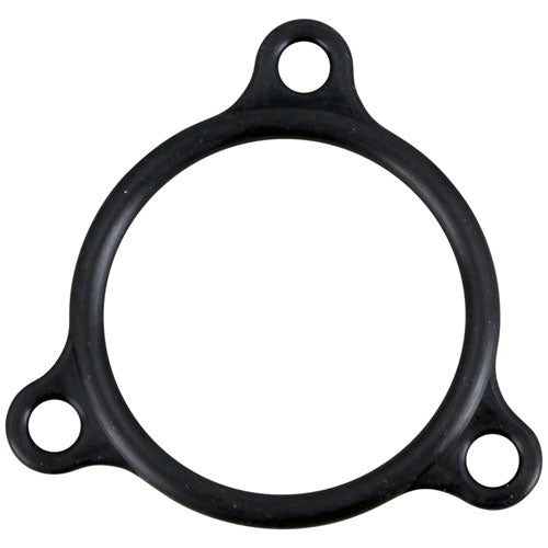 Champion Heater Flange Seal Part 109985 - Parts Direct Group