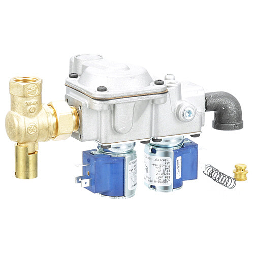 Johnson Controls Dual Solenoid Valve (Part Number: G96HAA-8)